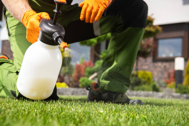 Best Flea Control Services  in Great Bend, NY