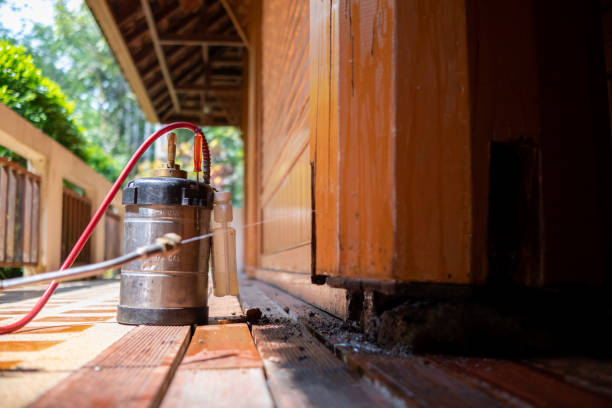 Best Pest Prevention Services  in Great Bend, NY